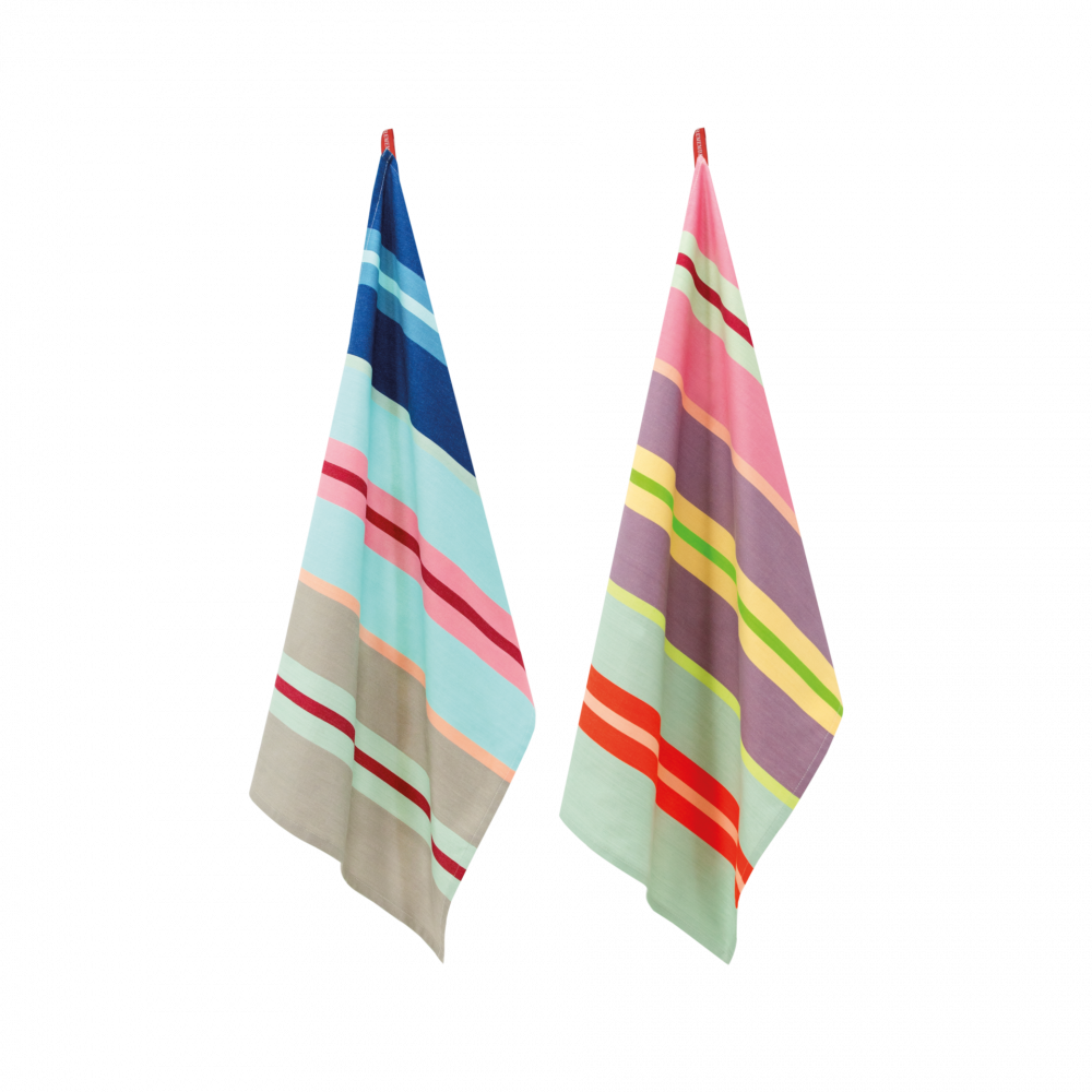 Pink lemon Shop REMEMBER colorful striped kitchen towels (set of 2) – Pink  Lemon Shop