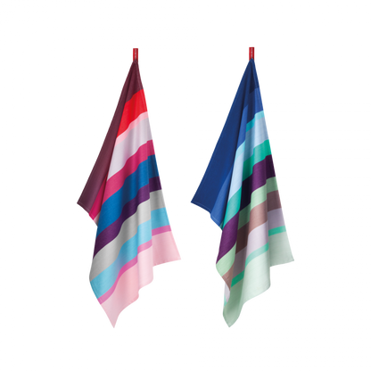 two striped kitchen towels made of colorful cotton