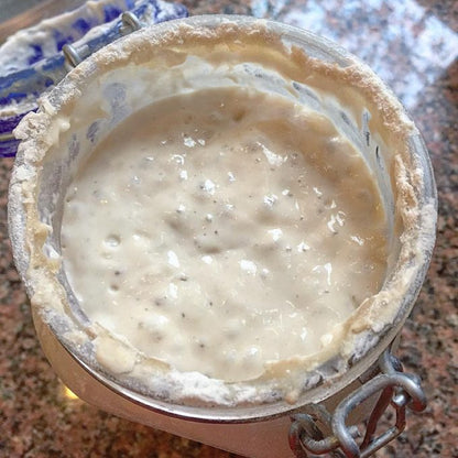 Sourdough bread starter (dry)