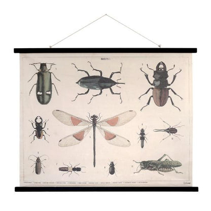 Cotton wall poster with insects on them and black wooden frame
