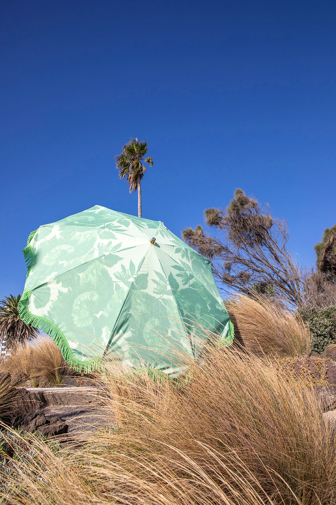 retro style green fabric beach parasol in dunes