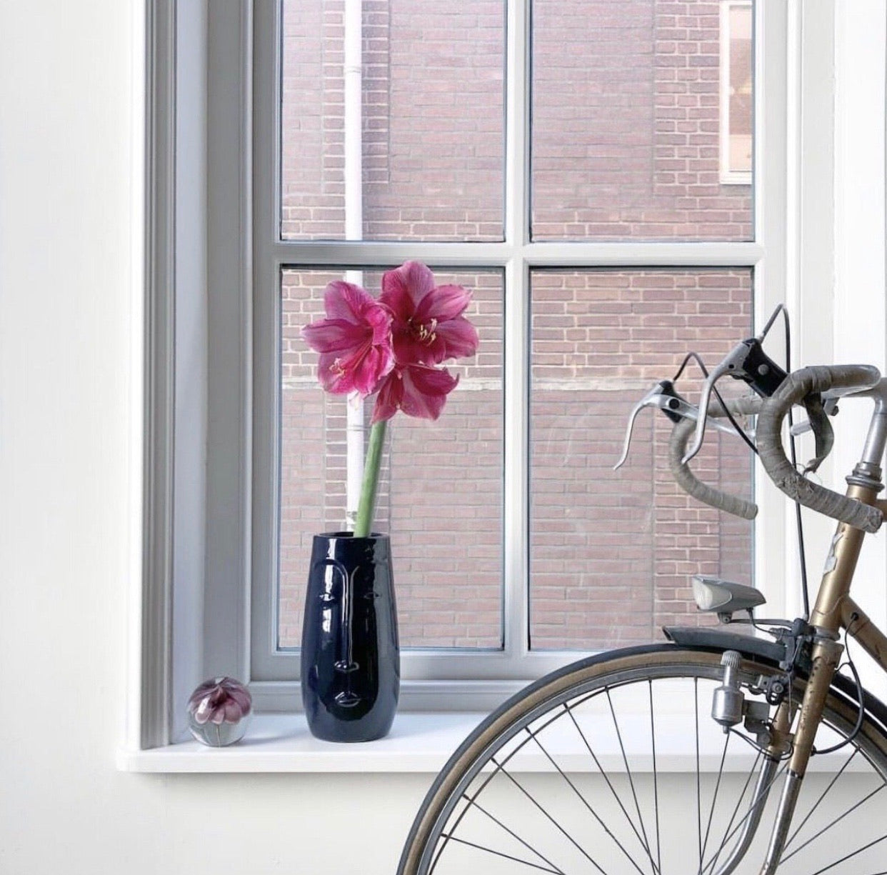 window with face vase and bike