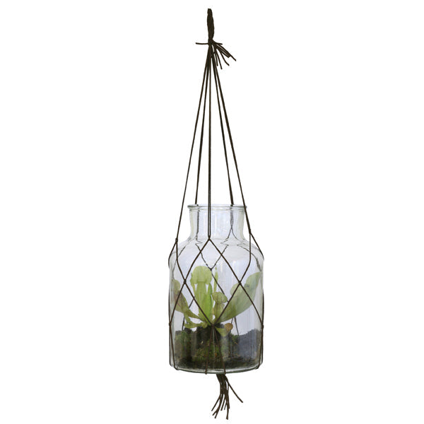 glass hanging vase with rope and green plant