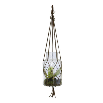 glass hanging vase with plant